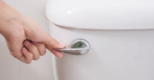 flushing toilet